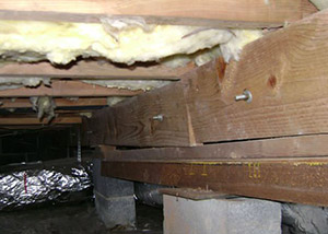 sagging crawl space with wooden shimming a Marion crawl space