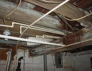 a humid basement overgrown with mold and rot in Manning